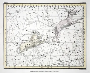 Die Sternbilder (Tafel V) Luchs, Kleiner Löwe, aus 